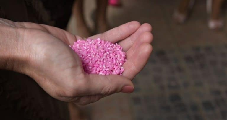 Why Is My Rice Pink? + Other Common FAQs